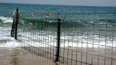 דוח החופים של החברה להגנת הטבע חוף ניצנים דוח החופים של החברה להגנת הטבע חוף ניצנים