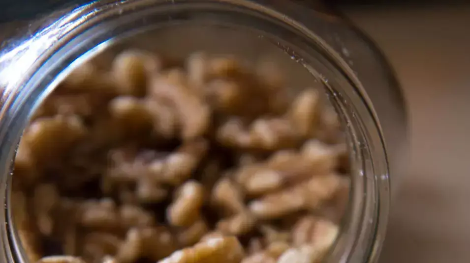 מלך מלך