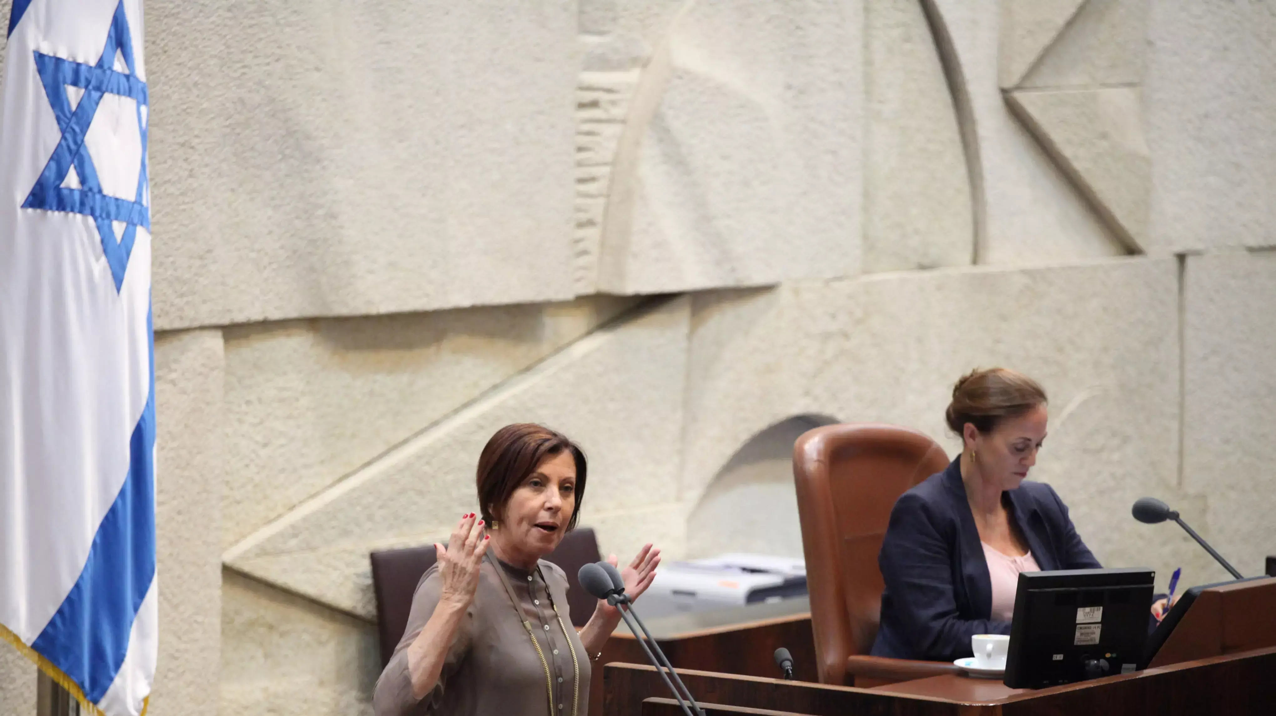 זהבה גלאון ורות קלדרון בהצבעה על חוק המשילות במליאת הכנסת זהבה גלאון ורות קלדרון בהצבעה על חוק המשילות במליאת הכנסת
