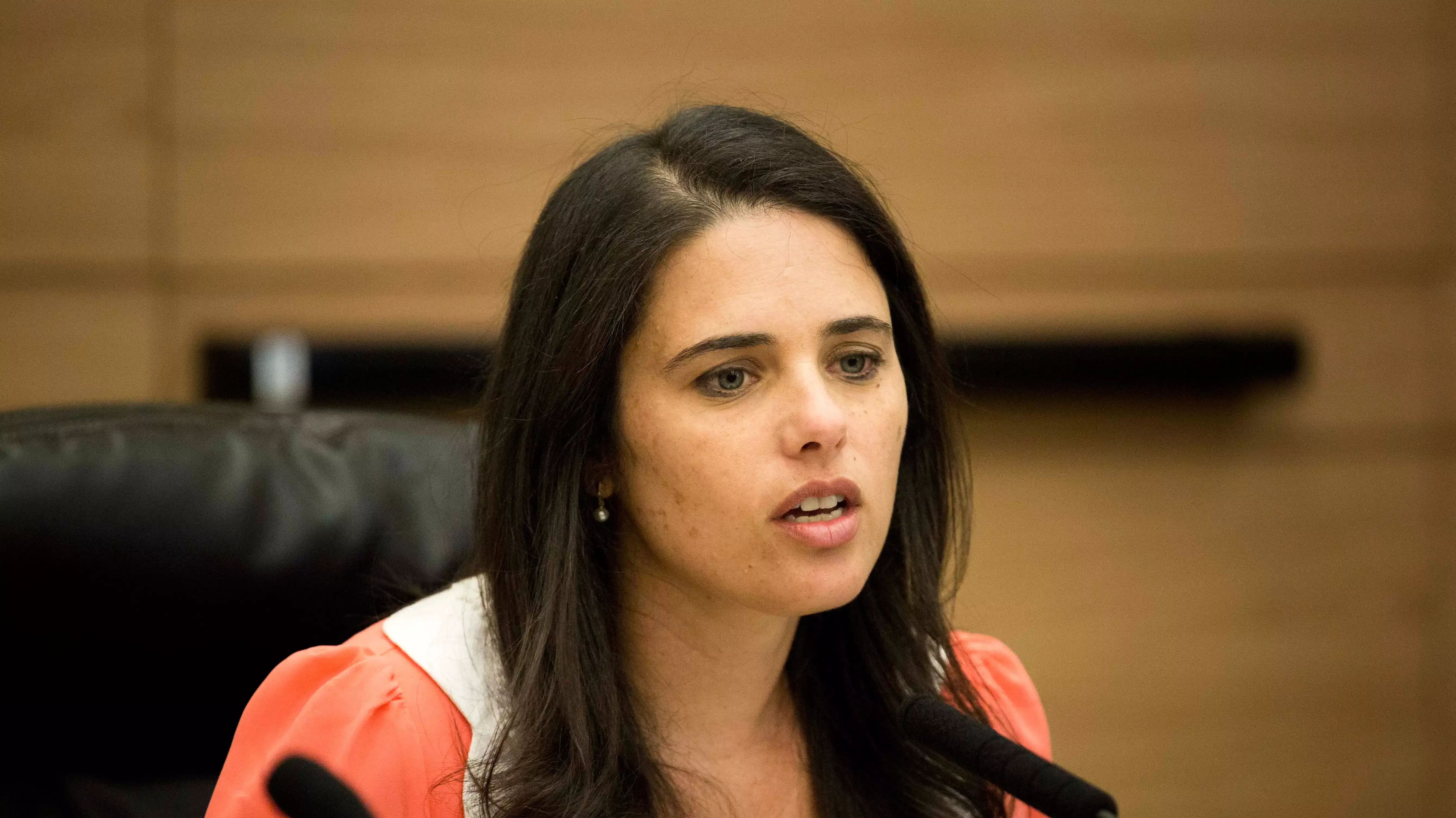 ח"כ איילת שקד בוועדה לשוויון בנטל, ספטמבר 2013 ח"כ איילת שקד בוועדה לשוויון בנטל, ספטמבר 2013