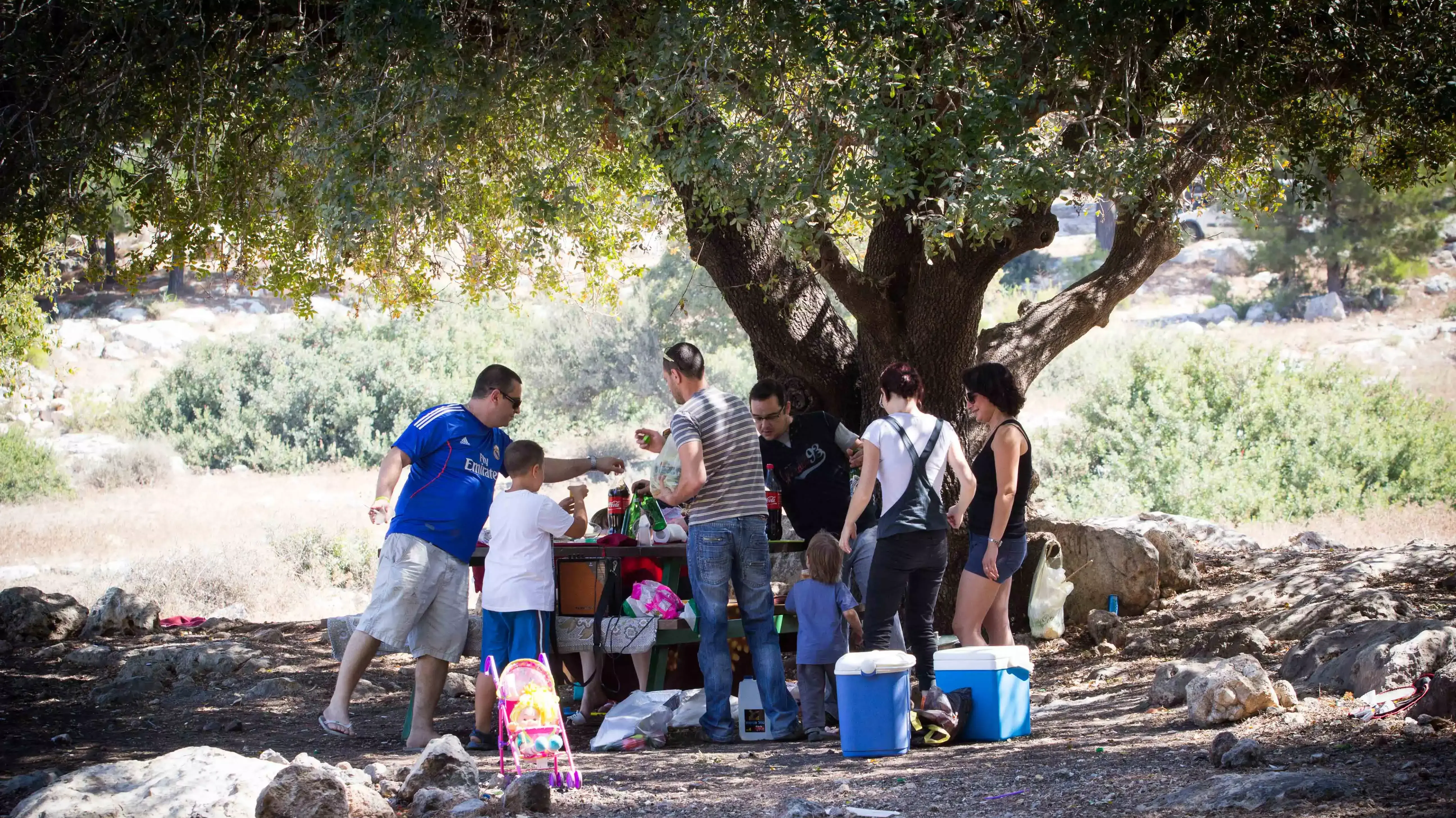 מטייילים מבלים ביער קריית אתא, סוכות 2013 מטייילים מבלים ביער קריית אתא, סוכות 2013