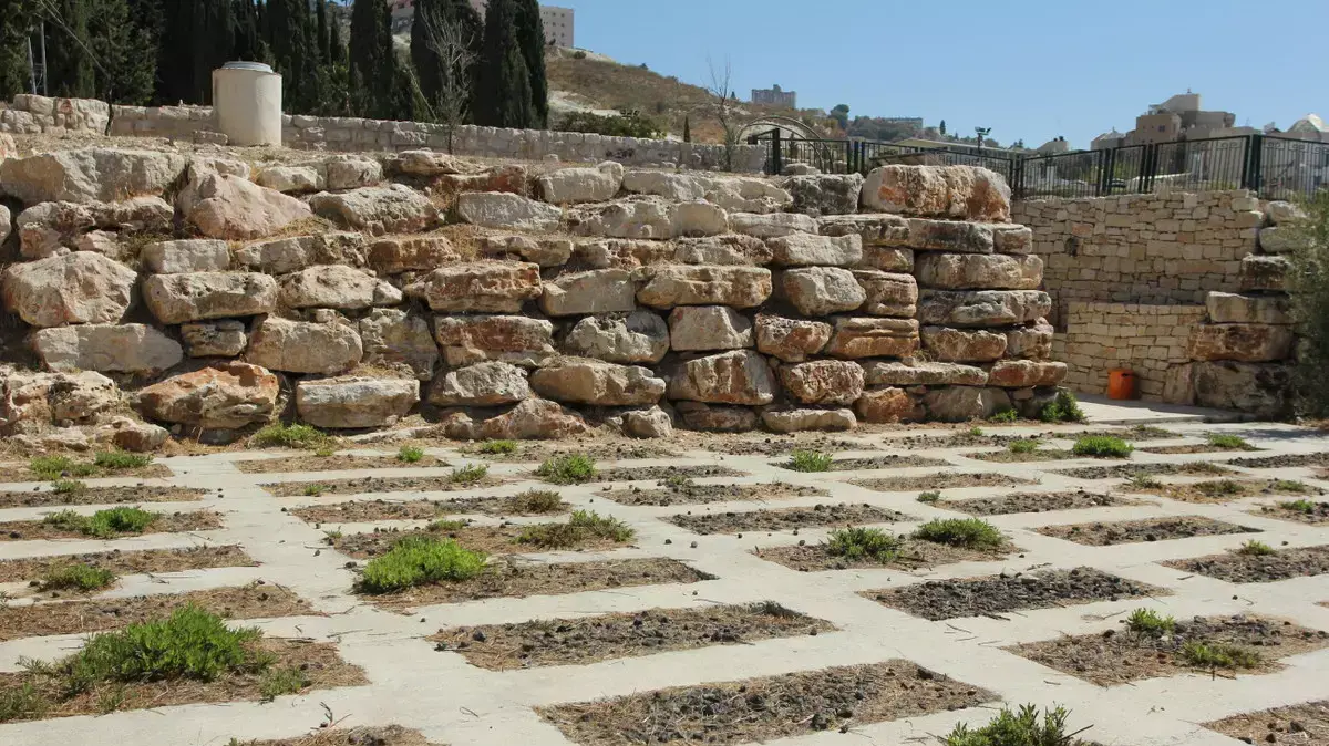 שומרים מאבטחים את קברן של הרב ברג בצםת שומרים מאבטחים את קברן של הרב ברג בצםת