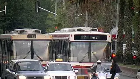 תנועה תנועה