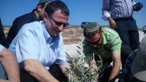 יור הכנסת יולי אדלשטיין נוטע עץ במאחז חוות יישוב הדעת בדרום השומרון ליד שילה, אוקטובר 2013 יור הכנסת יולי אדלשטיין נוטע עץ במאחז חוות יישוב הדעת בדרום השומרון ליד שילה, אוקטובר 2013