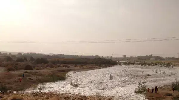 שיטפונות בנחל הבשור בדרום. 1 בנובמבר 2013 שיטפונות בנחל הבשור בדרום. 1 בנובמבר 2013