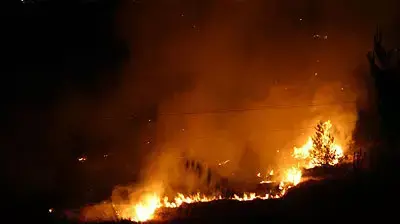 שריפה בשכונת בית וגן בירושלים שריפה בשכונת בית וגן בירושלים