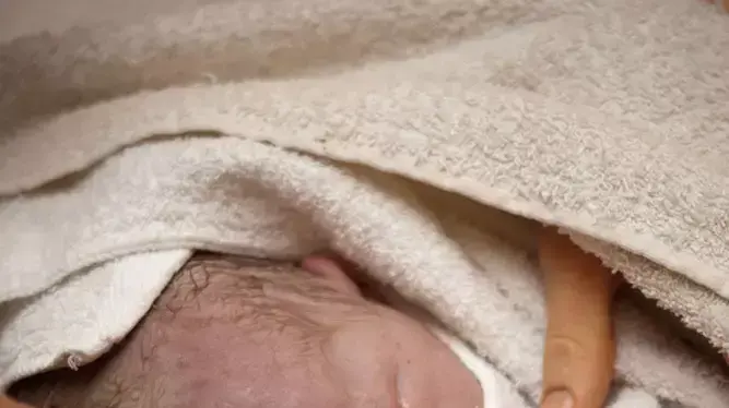 תינוק על אמו מיד אחרי הלידה תינוק על אמו מיד אחרי הלידה
