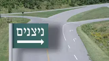 ניצנים - אילוסטרציה