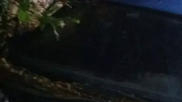 גבר נדקר למוות בקלנסווה לאחר שניסה לגנוב חלקי חילוף לרכב, ינואר 2014 גבר נדקר למוות בקלנסווה לאחר שניסה לגנוב חלקי חילוף לרכב, ינואר 2014