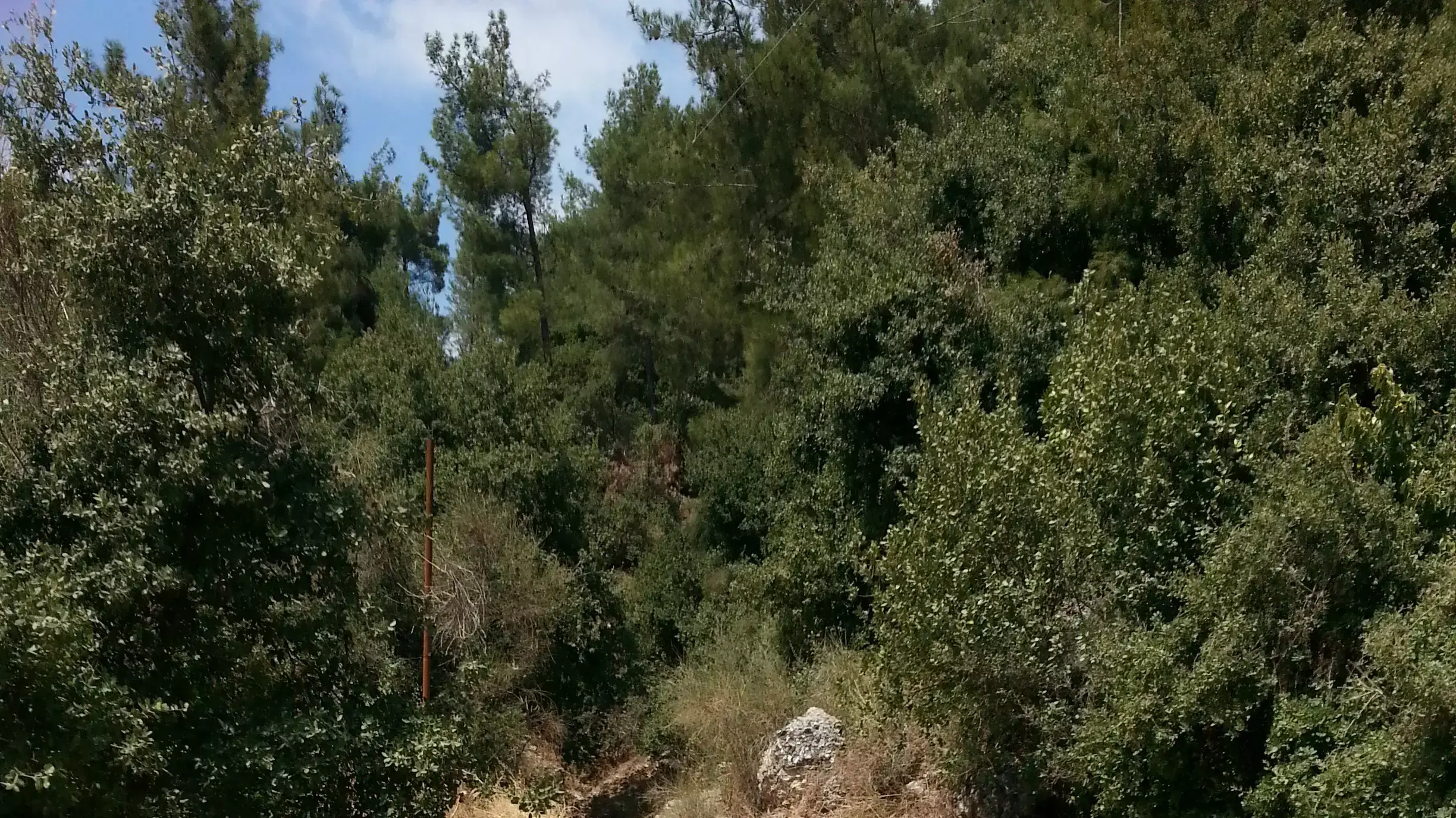 נחל עין רמיאל שבגליל העליון יבש מכיוון שלא היו כמעט גשמים בהר מירון. ינואר 2014