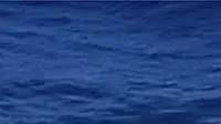 מיימי האוקינוס מיימי האוקינוס