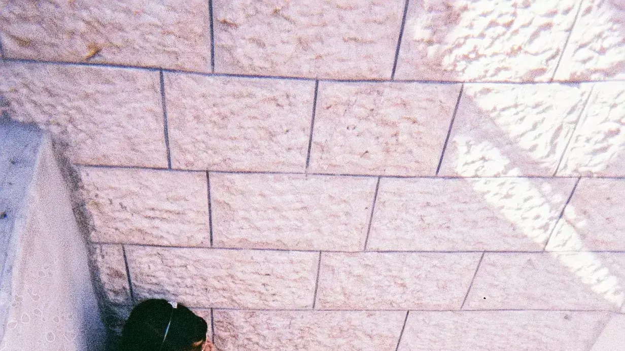 ילדי אומנה ילדי אומנה