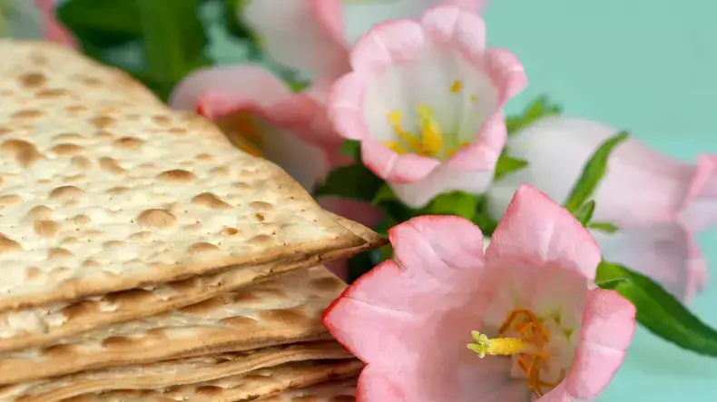 אילוסטרציה אילוסטרציה