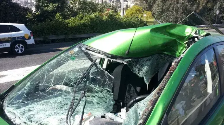 נהג מכונית התנגש בפרה באזור חיפה, מצבו קשה נהג מכונית התנגש בפרה באזור חיפה, מצבו קשה