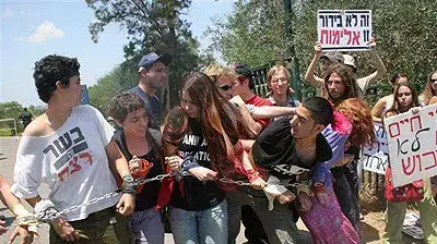 מפגינים נגד תערוכת סוסים צילום אורן זין אינדימדיה ישראל מפגינים נגד תערוכת סוסים צילום אורן זין אינדימדיה ישראל