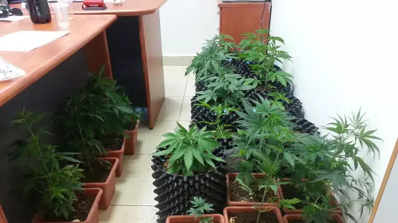 מעבדת סמים נחשפה במלון דיפלומט בירושלים. אפריל 2014 מעבדת סמים נחשפה במלון דיפלומט בירושלים. אפריל 2014