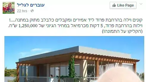 סטטוס פייסבוק שמציע דירה בגליל וכלבלב במתנה סטטוס פייסבוק שמציע דירה בגליל וכלבלב במתנה