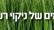 12 ימים של ניקוי רעלים 12 ימים של ניקוי רעלים