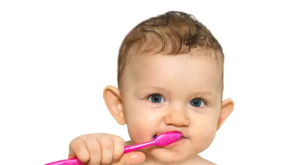 תינוק מצחצח שיניים תינוק מצחצח שיניים