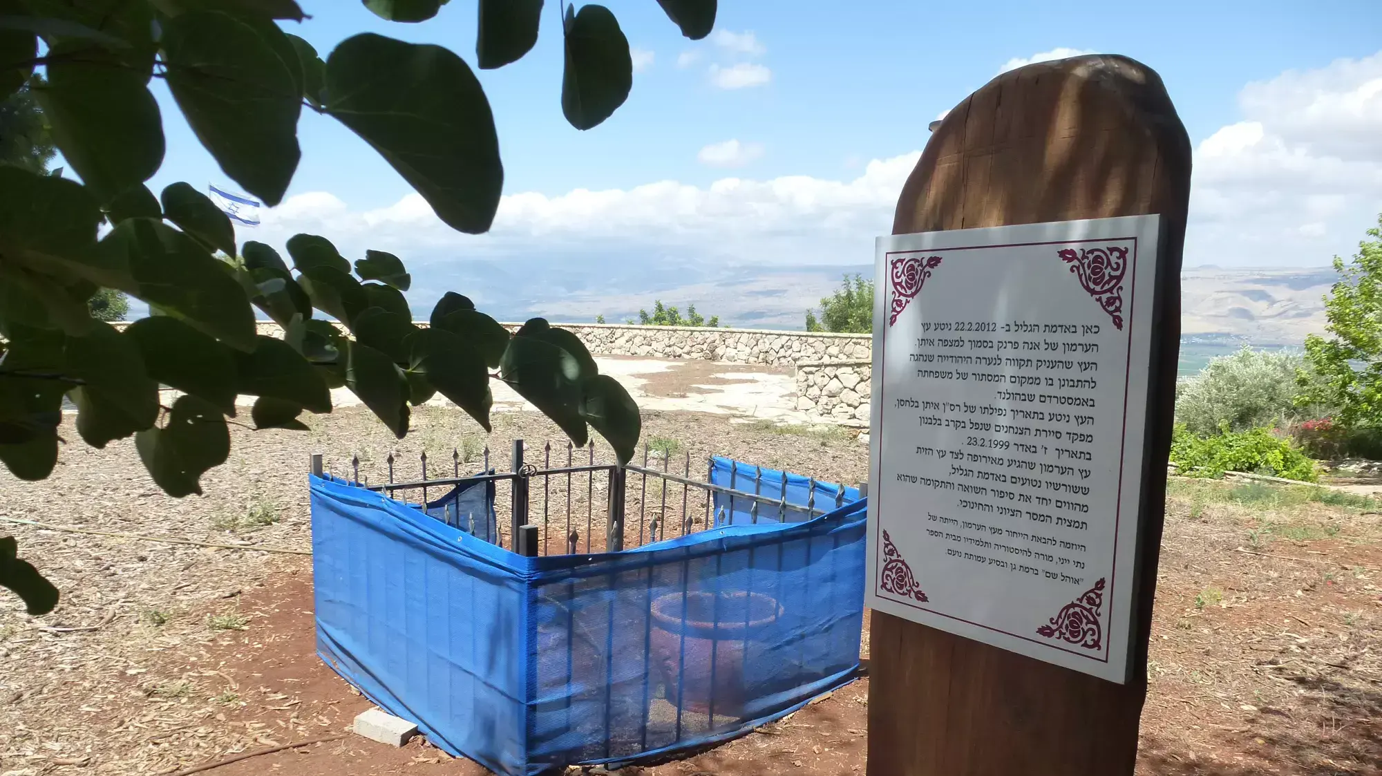 העץ של אנה פרנק שמת במצפה ע"ש איתן בלחסן ברמות נפתלי שליד קרית שמונה. יוני 2014 העץ של אנה פרנק שמת במצפה ע"ש איתן בלחסן ברמות נפתלי שליד קרית שמונה. יוני 2014