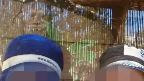 הנכדים שנחטפו על פי החשד בידי סבתם מביתה בצפון, יוני 2014 הנכדים שנחטפו על פי החשד בידי סבתם מביתה בצפון, יוני 2014