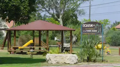 גוש קטיף (משפחת לקס) 