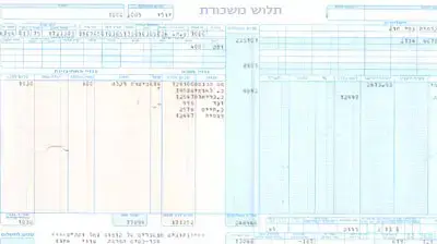 תלוש משכורת תלוש משכורת