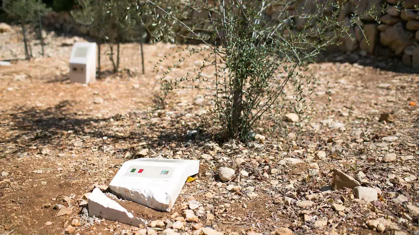 שלטים ביער האומות בירושלים הושחתו ושמות החטופים נחרטו עליהם. יוני 2014 שלטים ביער האומות בירושלים הושחתו ושמות החטופים נחרטו עליהם. יוני 2014