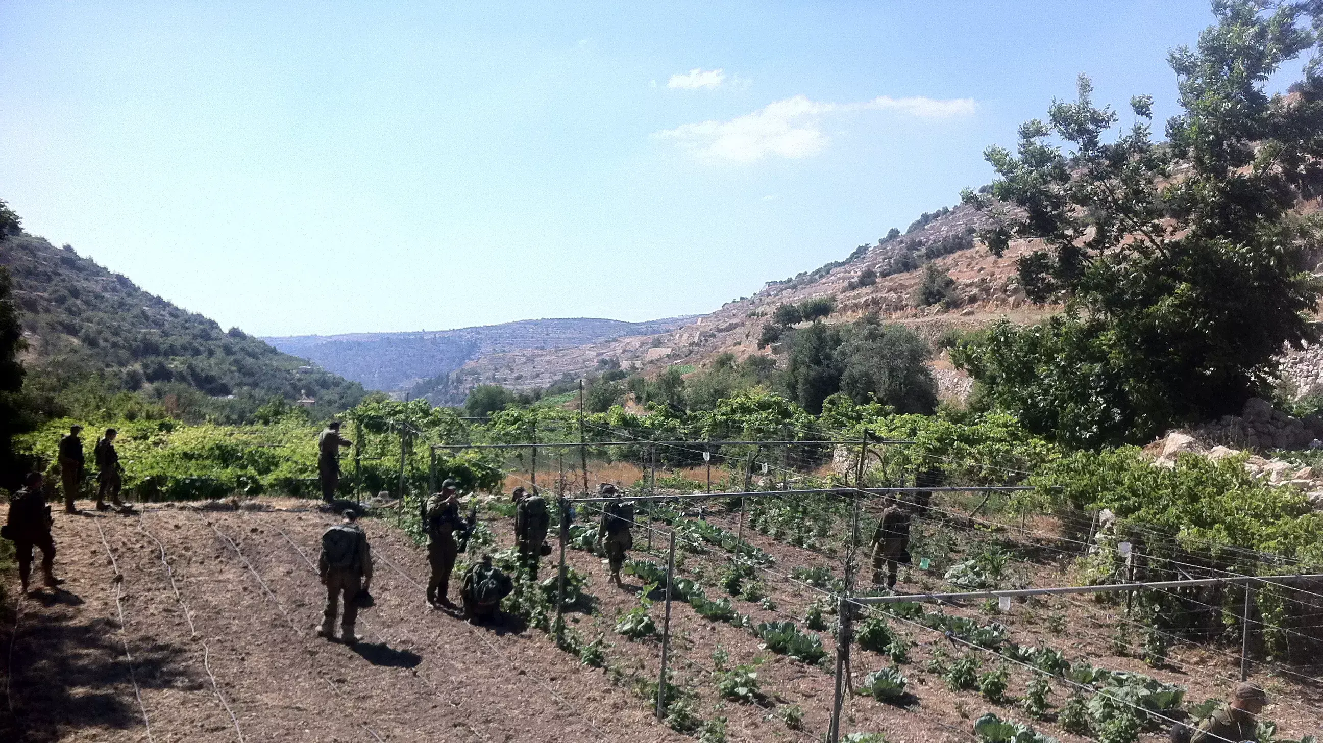 חיפושים באזור חברון אחר שלושת הנערים שנחטפו. יולי 2014 חיפושים באזור חברון אחר שלושת הנערים שנחטפו. יולי 2014