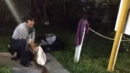 נחש פיתון נמצא בתוך מנגל במהלך חגיגות יום העצמאות בארצות הברית נחש פיתון נמצא בתוך מנגל במהלך חגיגות יום העצמאות בארצות הברית
