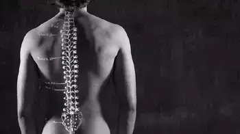 עמוד שידרה - אילוסטרציה עמוד שידרה - אילוסטרציה