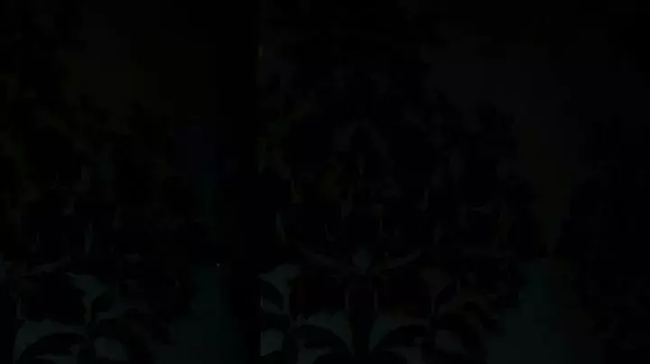 נאור שוהרי נאור שוהרי