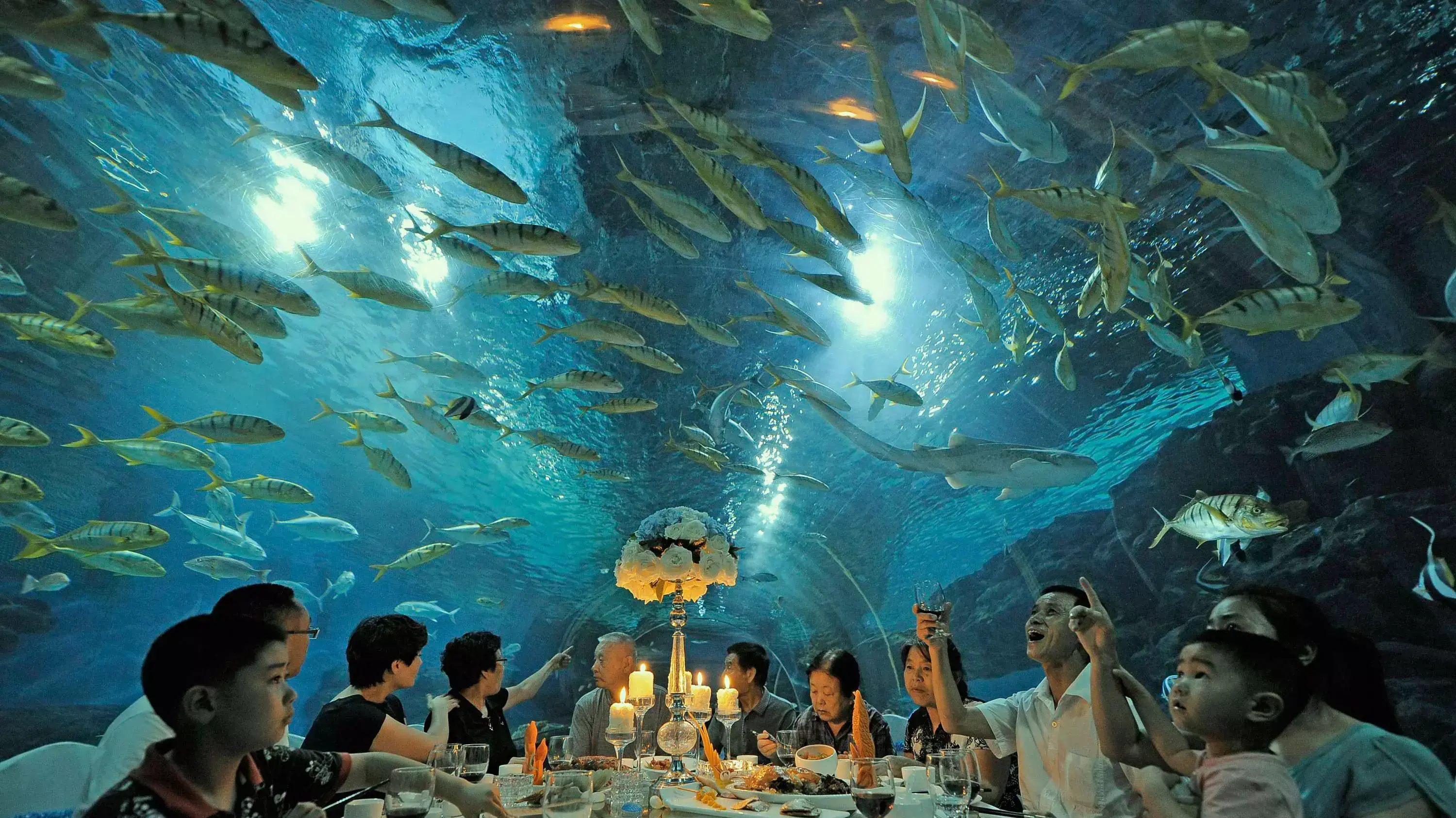 משפחה יושבת לארוחת הערב במצפה תת ימי בטיינג'ין, סין משפחה יושבת לארוחת הערב במצפה תת ימי בטיינג'ין, סין