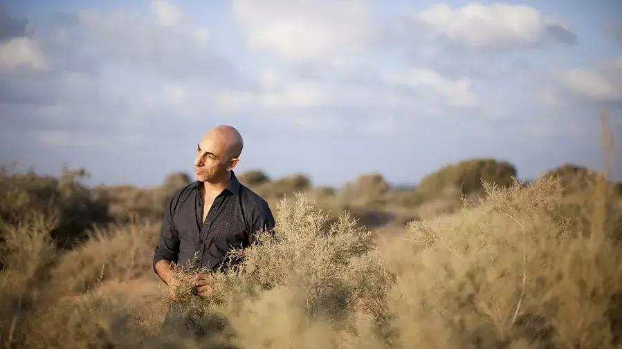 אלי סורני אלי סורני