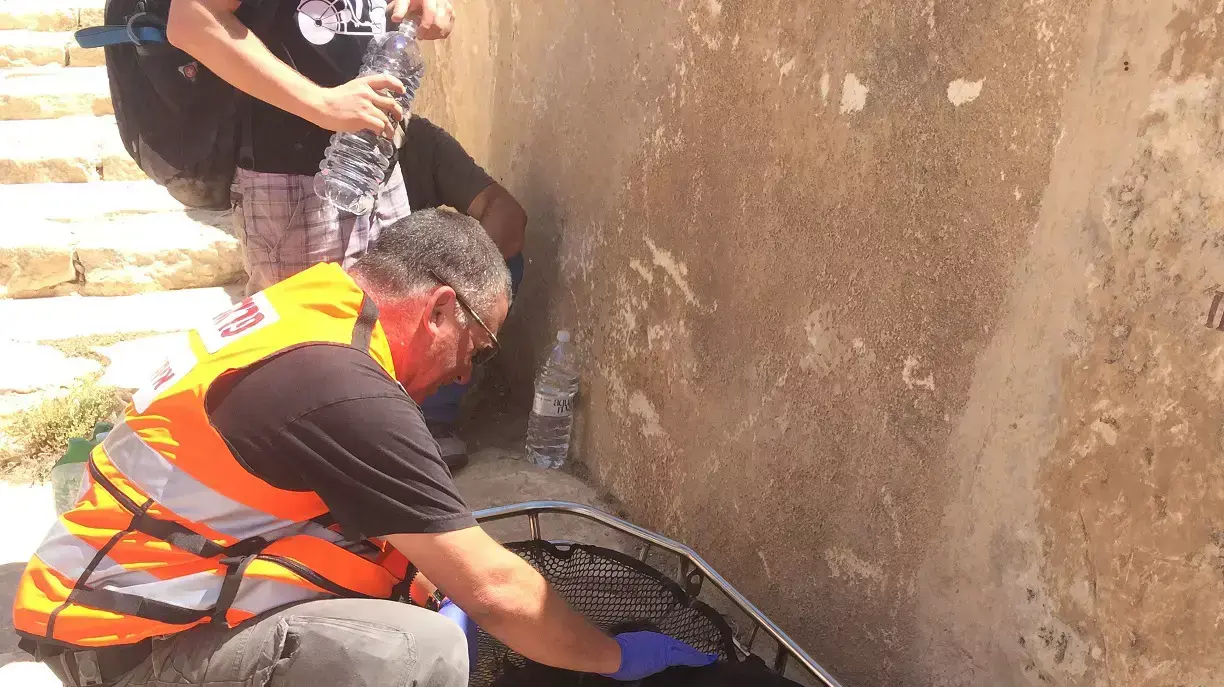 במבצע מסובך הצילו מתנדבי "איחוד הצלה" ואנשי יחידת החילוץ "הר הנגב" כלב שנפל לתהום של 30 מטרים במצפה רמון, ספטמבר 2014 במבצע מסובך הצילו מתנדבי "איחוד הצלה" ואנשי יחידת החילוץ "הר הנגב" כלב שנפל לתהום של 30 מטרים במצפה רמון, ספטמבר 2014