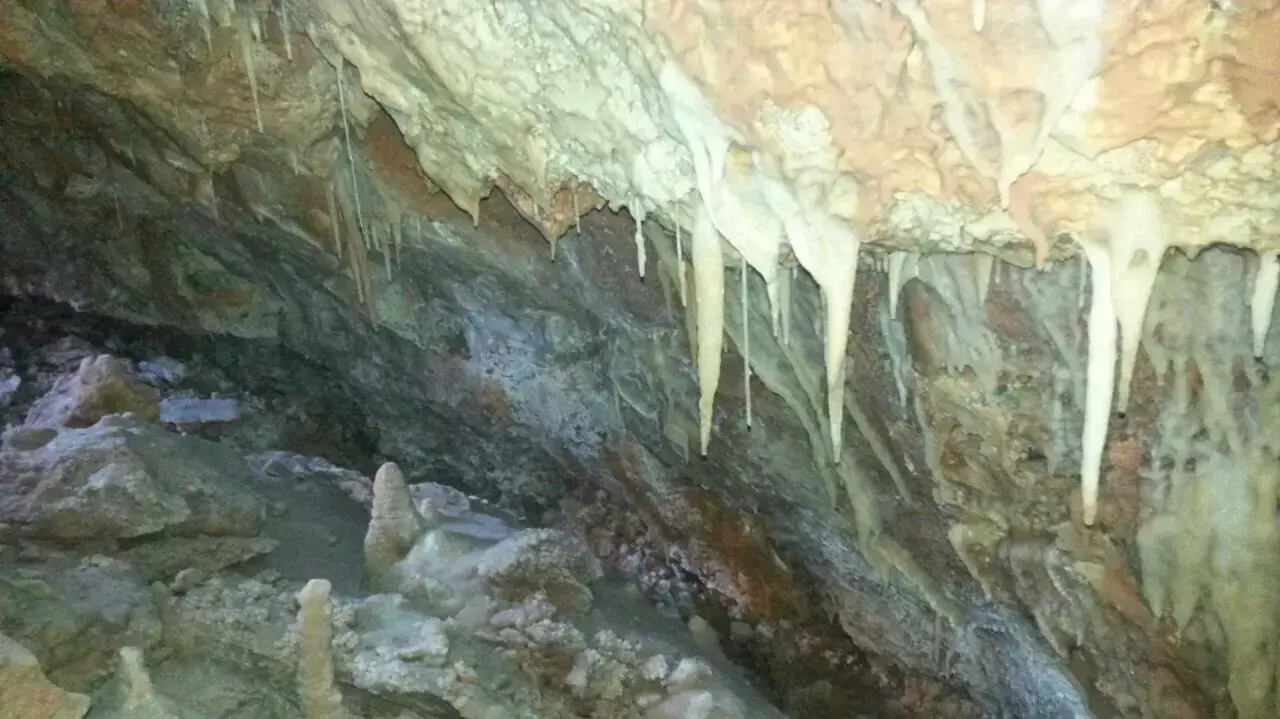 מערכת נטיפים ענקית התגלתה במרכז הארץ, ספטמבר 2014 מערכת נטיפים ענקית התגלתה במרכז הארץ, ספטמבר 2014