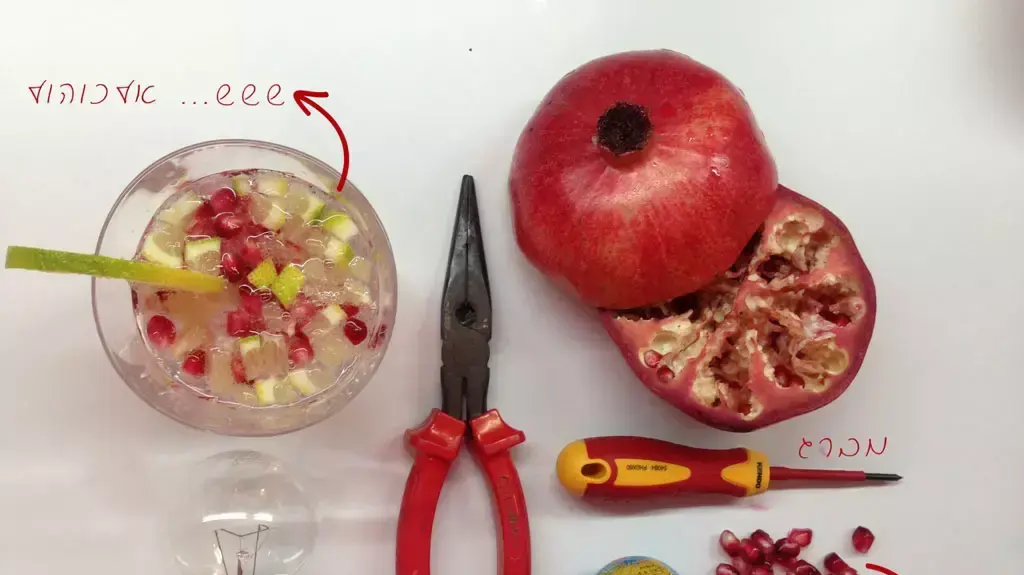 קישוטי סוכות של קישקושיאדא קישוטי סוכות של קישקושיאדא
