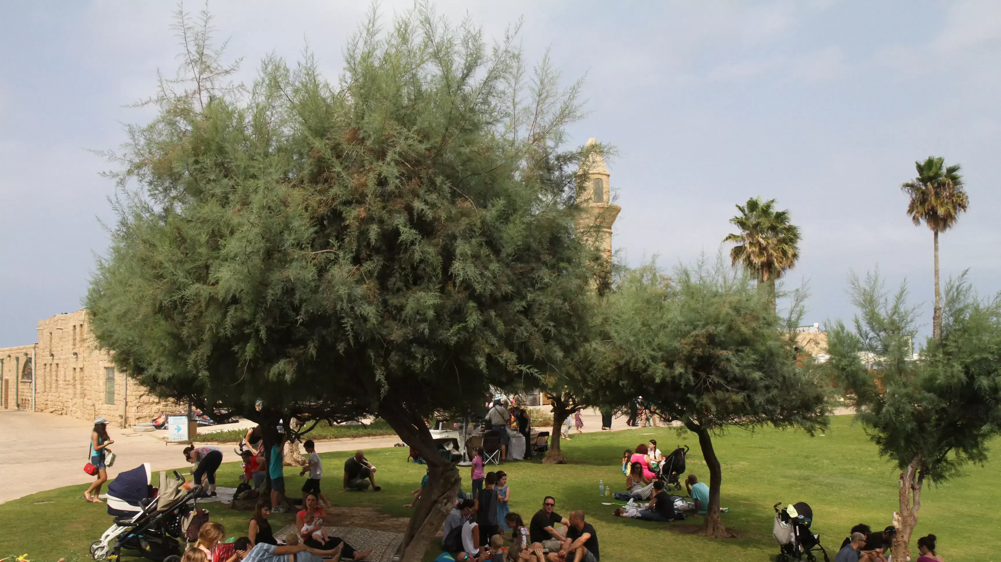 מטיילים בגן הלאומי קיסרה, 11 באוקטובר 2014 מטיילים בגן הלאומי קיסרה, 11 באוקטובר 2014