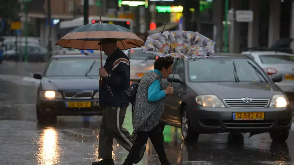 חורף בפתח תקווה, נובמבר 2014 חורף בפתח תקווה, נובמבר 2014
