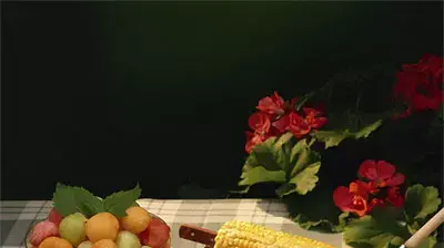 דגים דגים