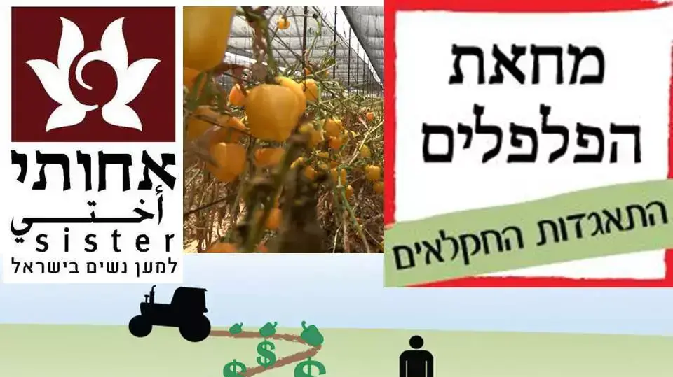 חקלאים יחלקו עשר טון של פירות וירקות ערב חג החנוכה במחאה על אזלת ידו של משרד חקלאים יחלקו עשר טון של פירות וירקות ערב חג החנוכה במחאה על אזלת ידו של משרד