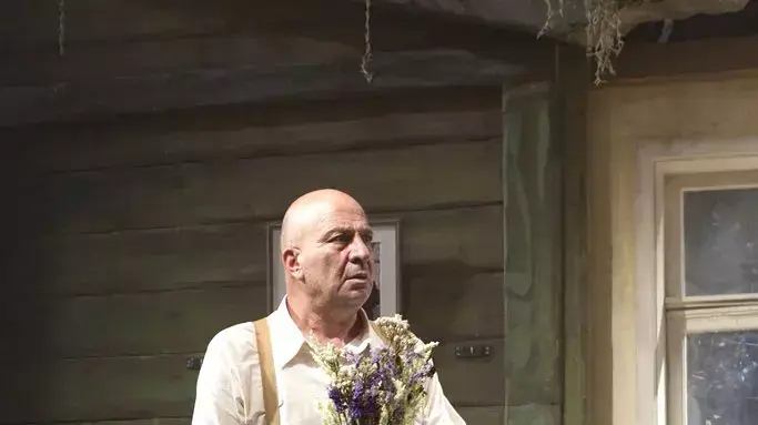 הדוד וניה הדוד וניה