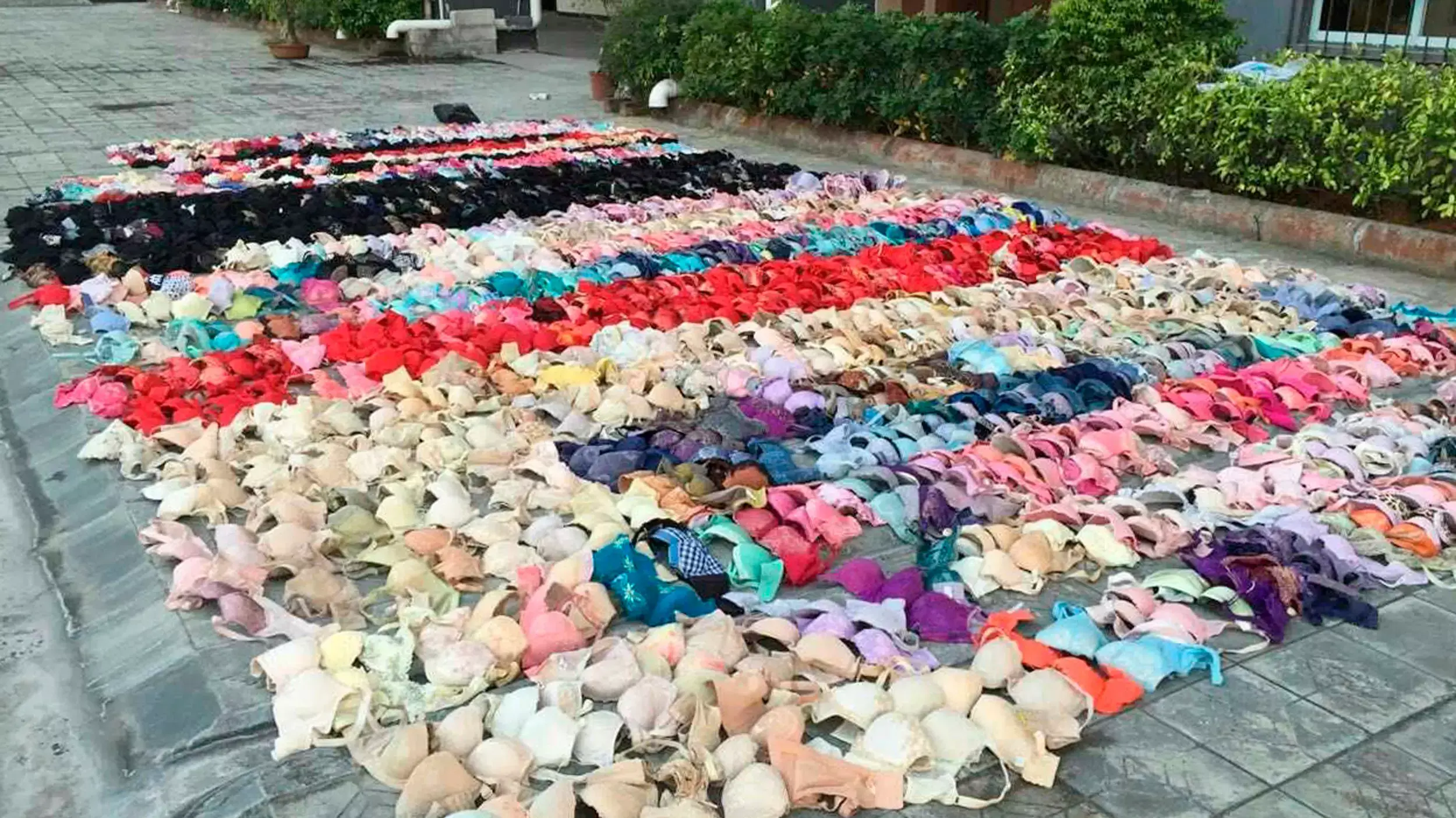 גנב הלבשה תחתונה נתפס כשברשותו 2000 חזיות גנב הלבשה תחתונה נתפס כשברשותו 2000 חזיות