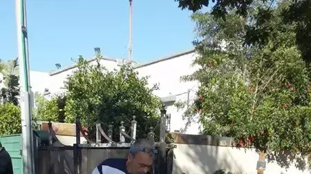 עובד השירות הווטרינרי של עיריית קריית ביאליק אוסף את גופות החתולים המורעלים עובד השירות הווטרינרי של עיריית קריית ביאליק אוסף את גופות החתולים המורעלים