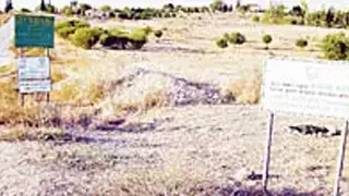 קיבוץ שומריה שהובטח למפוני עצמונה קיבוץ שומריה שהובטח למפוני עצמונה