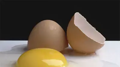 ביצה שבורה ביצה שבורה