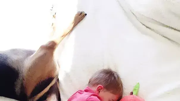 Naptime With Theo and Beau - צילומים מתוך הספר