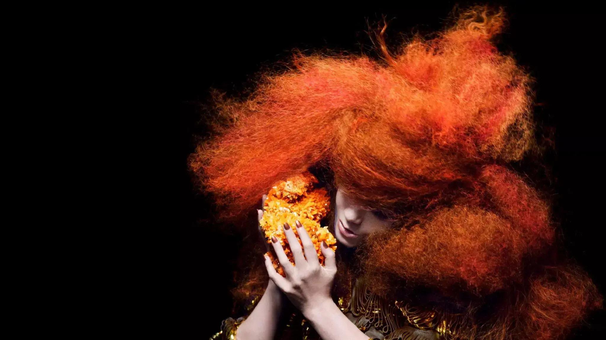 ביורק ב-2011, צילומי Biophilia ביורק ב-2011, צילומי Biophilia