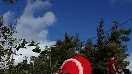שלג בהר אדר, 20 בפברואר 2015 שלג בהר אדר, 20 בפברואר 2015