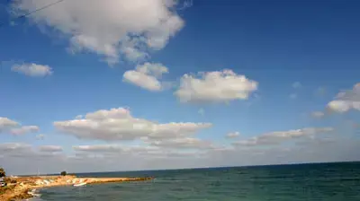 חוף בת גלים חיפה (טל ברטוב החברה להגנת הטבע)